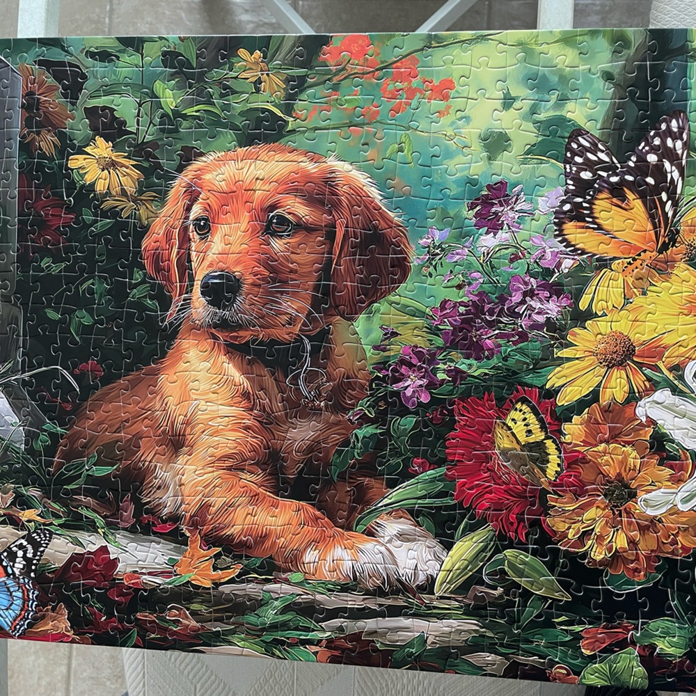 Colorful Dog and Butterfly Puzzle with letters on back
